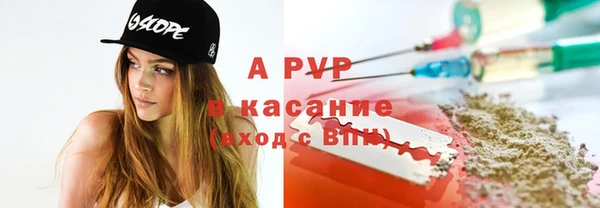 сатива Алзамай