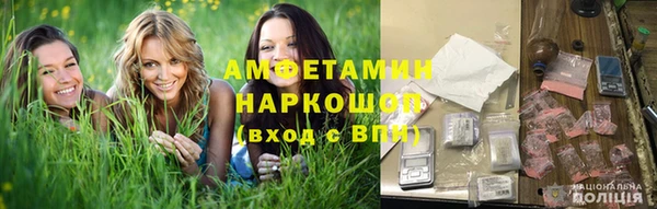 сатива Алзамай