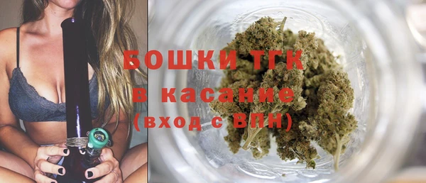 индика Абдулино